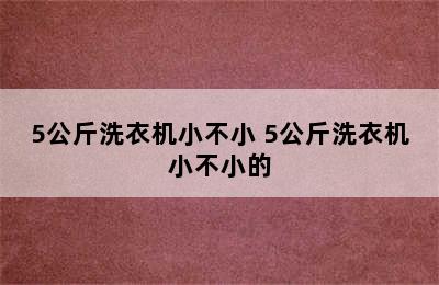 5公斤洗衣机小不小 5公斤洗衣机小不小的